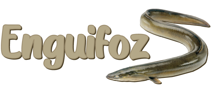 Enguifoz